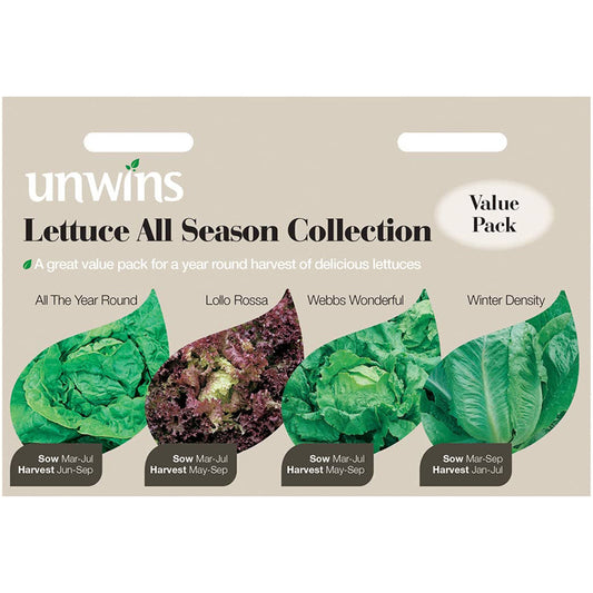 Lettuce All Season Collection Pack seeds