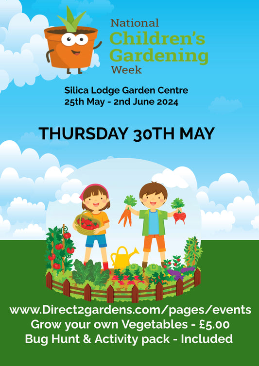 Childrens Gardening week activities - Vegetable Garden