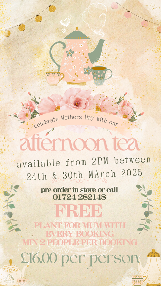 Valentines / Galentines Afternoon Tea