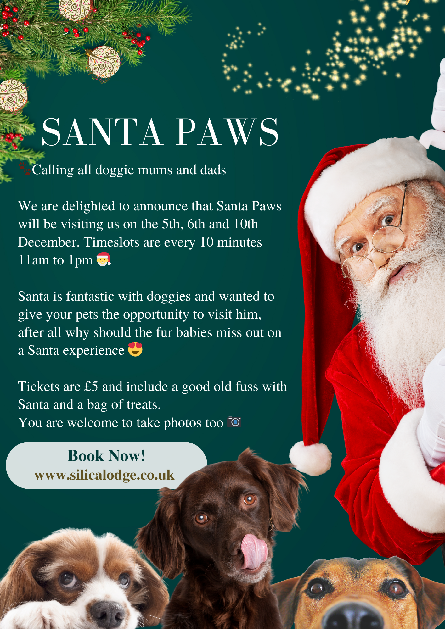 Poster of our Santa Paws event