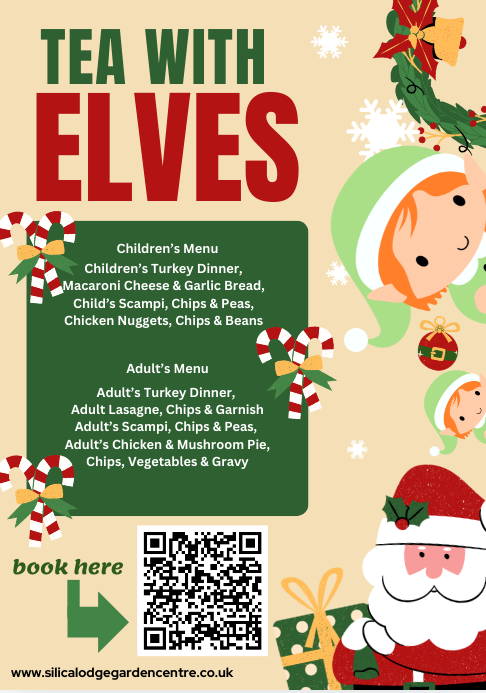 Magical Tea with Elves! Adult £14.95 Child £19.95