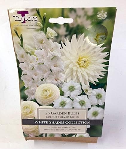 25 garden bulbs in white shades mixed bulbs by taylors bulbs