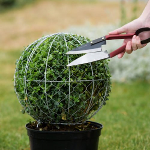 30 cm Topiary ball frame