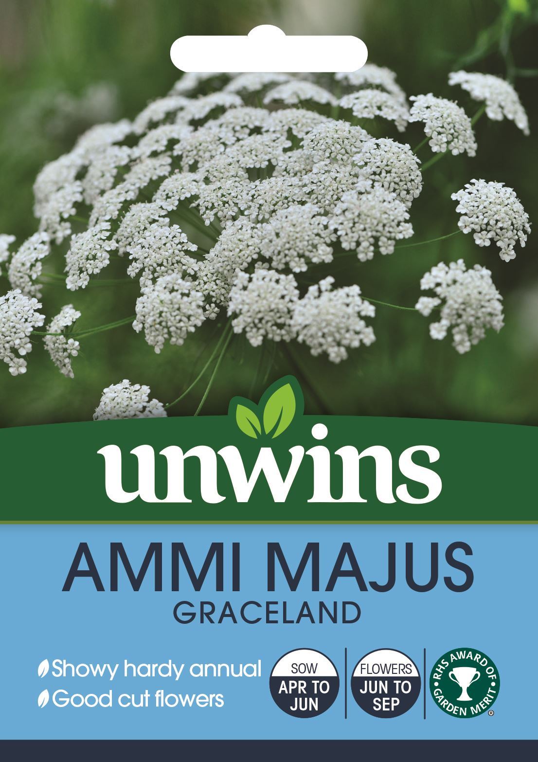 Ammi Majus Graceland - Seed packet