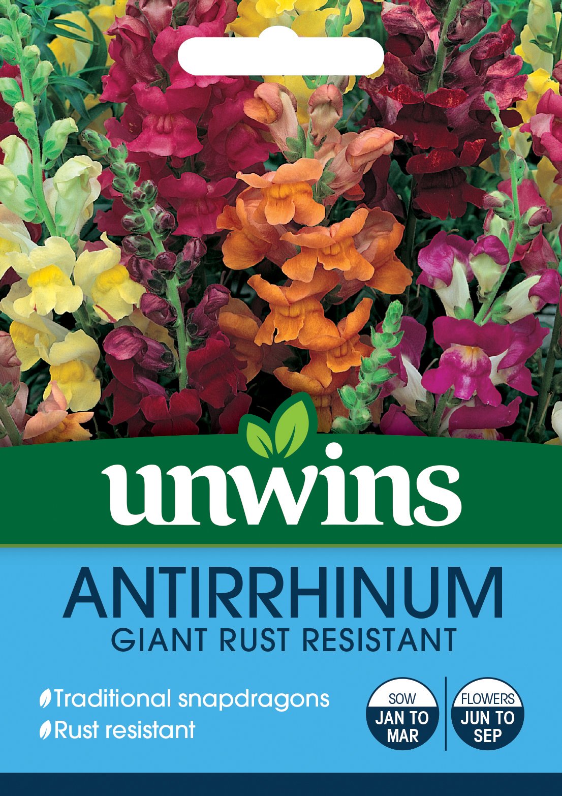 Antirrhinum Giant Rust Resistant - Seeds