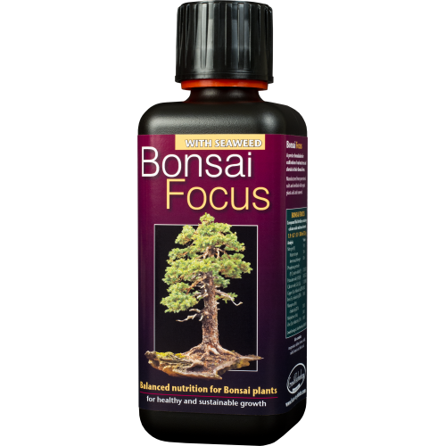 Bonsai Focus - 100ml