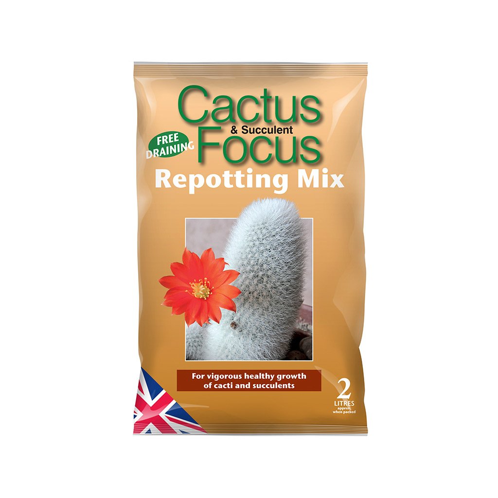 Cactus Focus Repotting Mix - 3l