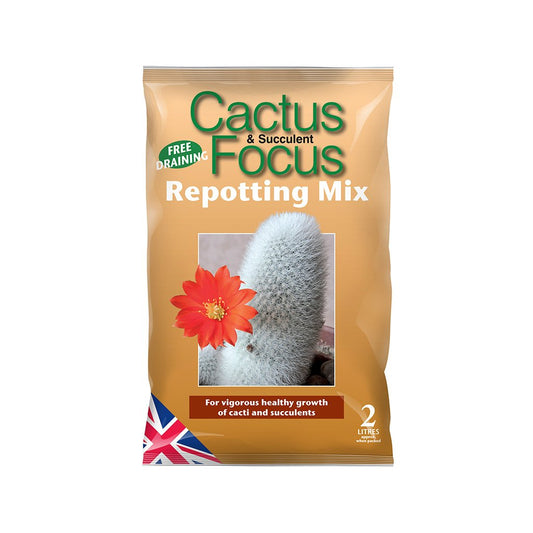 Cactus Focus Repotting Mix - 3l