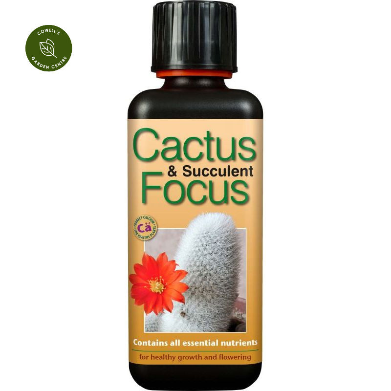 Cactus & Succulent Focus - 100ml