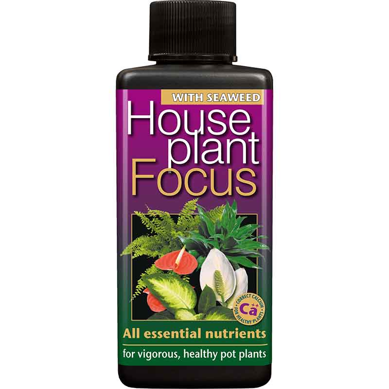 Houseplant Focus - 100ml