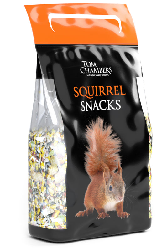 Squirrel snacks by tom chambers