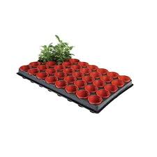 Seed and cutting tray with 40 x 6cm pots included by garland