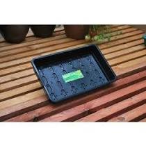 Standard seed tray black with holes